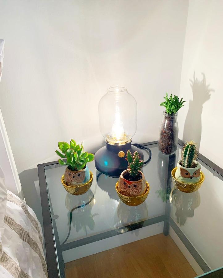 Apartmán Garden Beautiful Cozy Flat , Recent Decorated. Londýn Exteriér fotografie